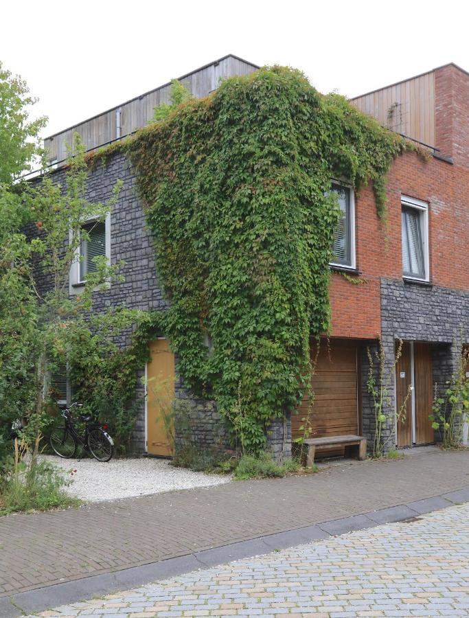 B&B De Zwanebloem 阿姆斯特丹 外观 照片